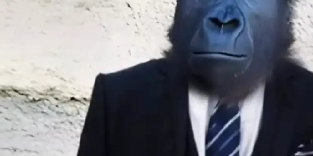 Imagem do grupo de WhatsApp AMIZADE E ROMANCE