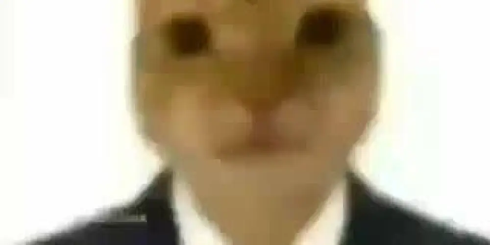 Imagem do grupo de WhatsApp Amizade e Romance