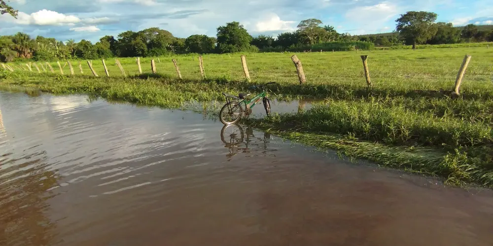Imagem do grupo de WhatsApp Amizade e romance zueira Total