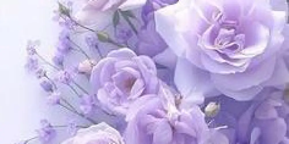 Imagem do grupo de WhatsApp Amizade e tudo🍥🍥🍥