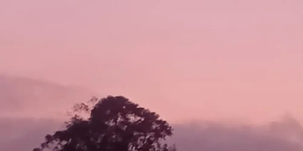 Imagem do grupo de WhatsApp Amizade é tudo 🥰