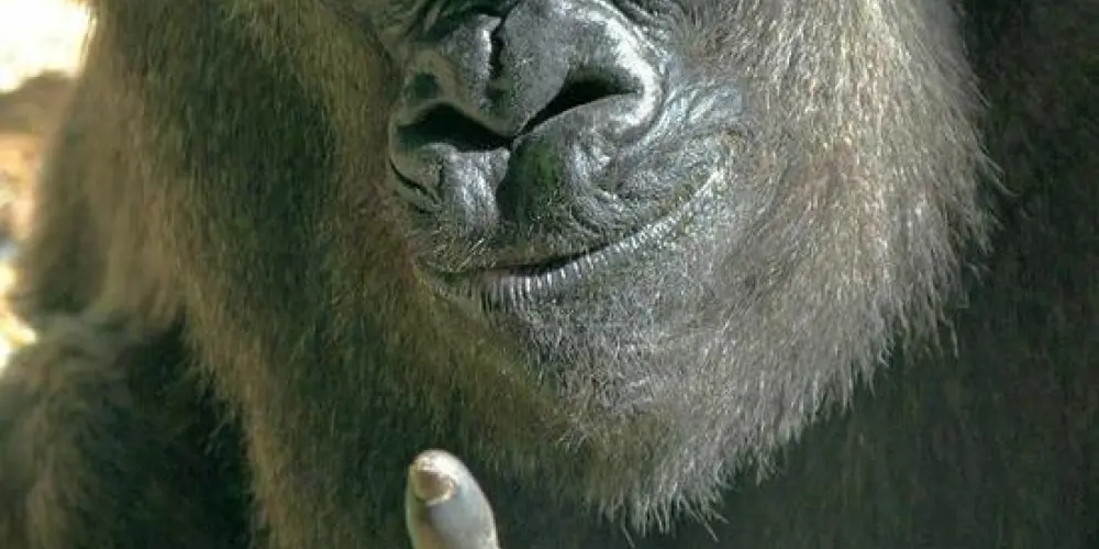 Imagem do grupo de WhatsApp Amizade e tudo 🤓☝️