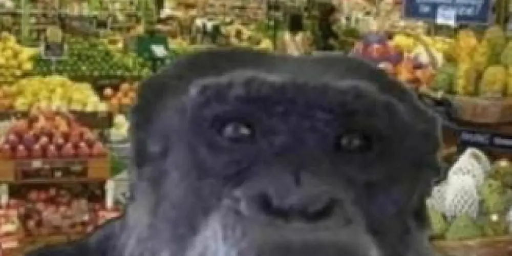 Imagem do grupo de WhatsApp AMIZADE É TUDO