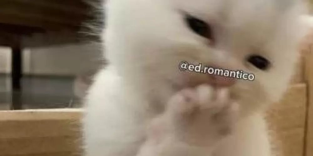 Imagem do grupo de WhatsApp Amizade e zueira ou algo a mais 😈