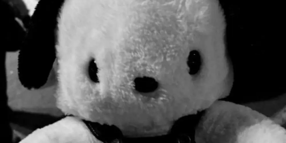 Imagem do grupo de WhatsApp Amizade ff