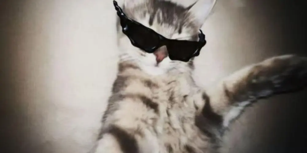 Imagem do grupo de WhatsApp Amizade galera