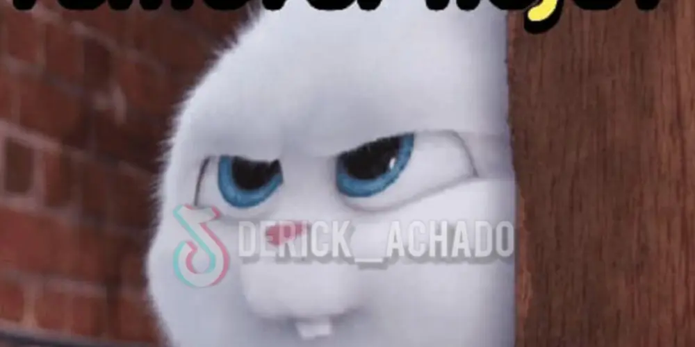 Imagem do grupo de WhatsApp Amizade internacional 🇦🇴🇧🇷🚩