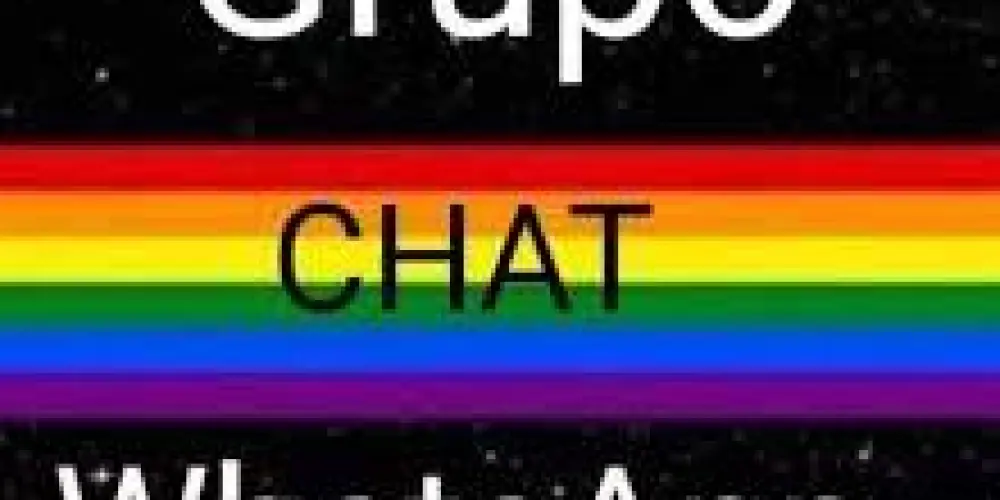 Imagem do grupo de WhatsApp Amizade LGBTQ+