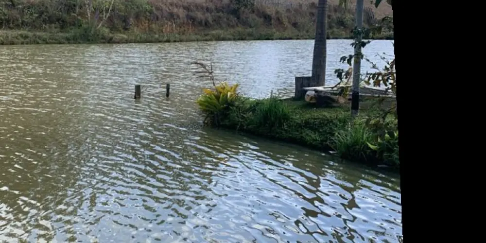 Imagem do grupo de WhatsApp Amizade lgbt's