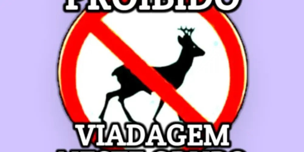 Imagem do grupo de WhatsApp AMIZADE NA WEB