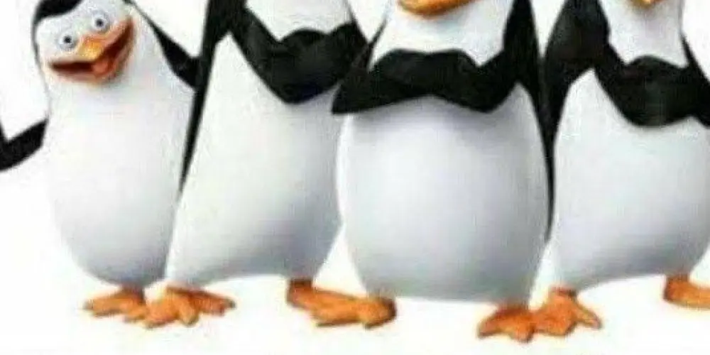 Imagem do grupo de WhatsApp amizade on