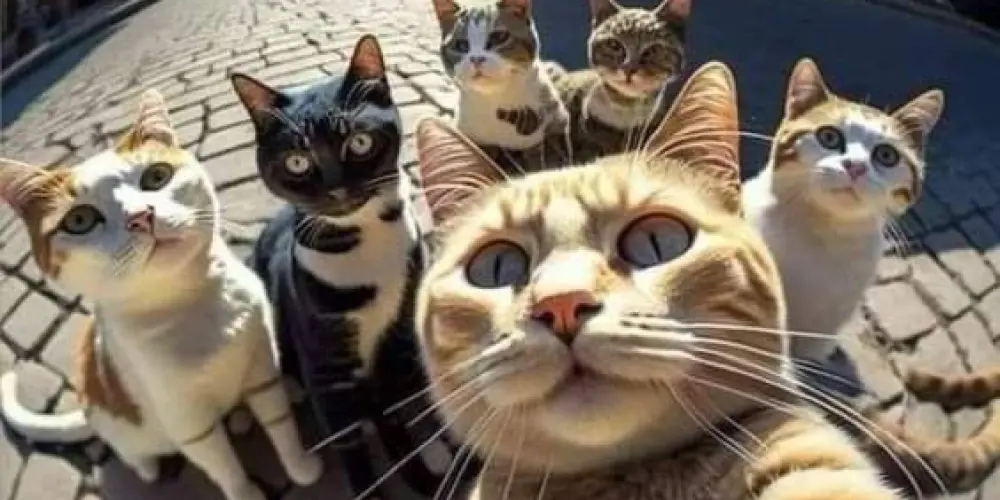 Imagem do grupo de WhatsApp amizade online