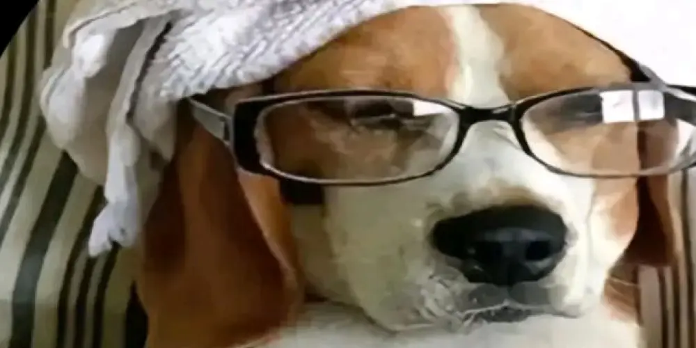 Imagem do grupo de WhatsApp Amizade ou namoro ❤️‍🔥