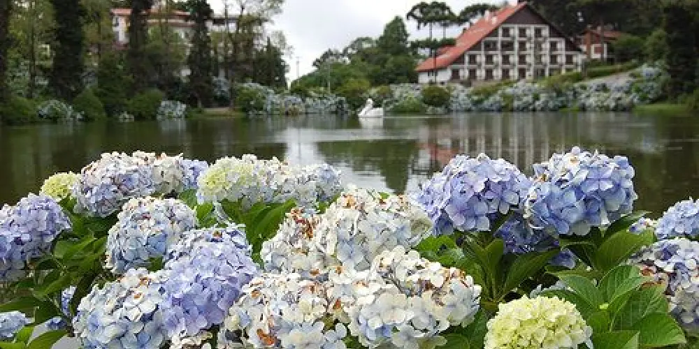 Imagem do grupo de WhatsApp Amizade ou relacionamentos