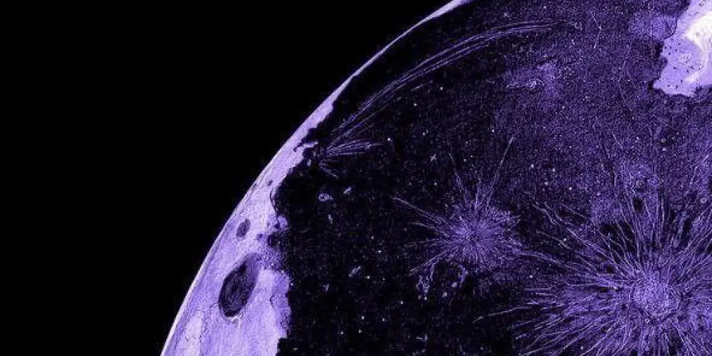 Imagem do grupo de WhatsApp Amizade para mulheres