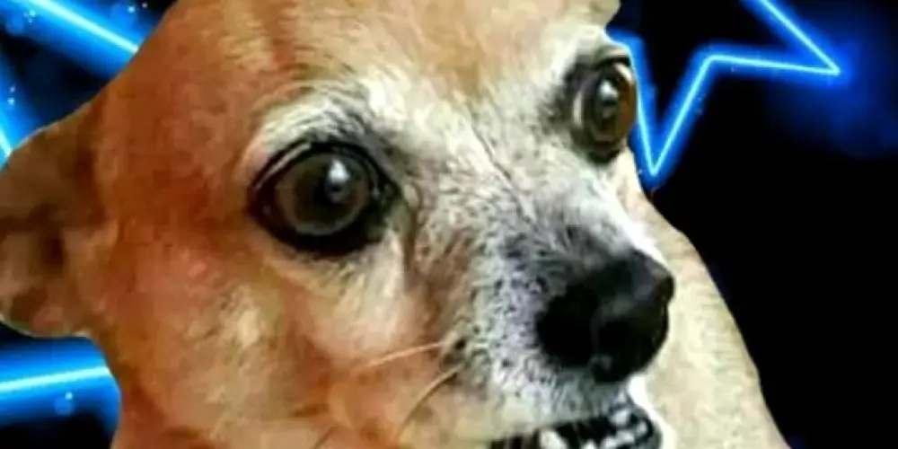 Imagem do grupo de WhatsApp 🥰🫂❤️AMIZADE PREVALECE OFC❤️🫂🥰