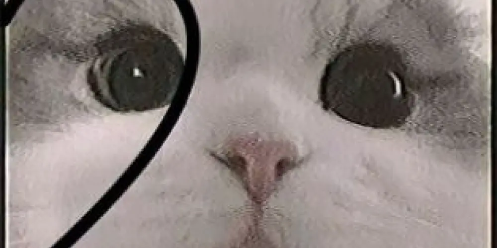 Imagem do grupo de WhatsApp Amizade sem filtro