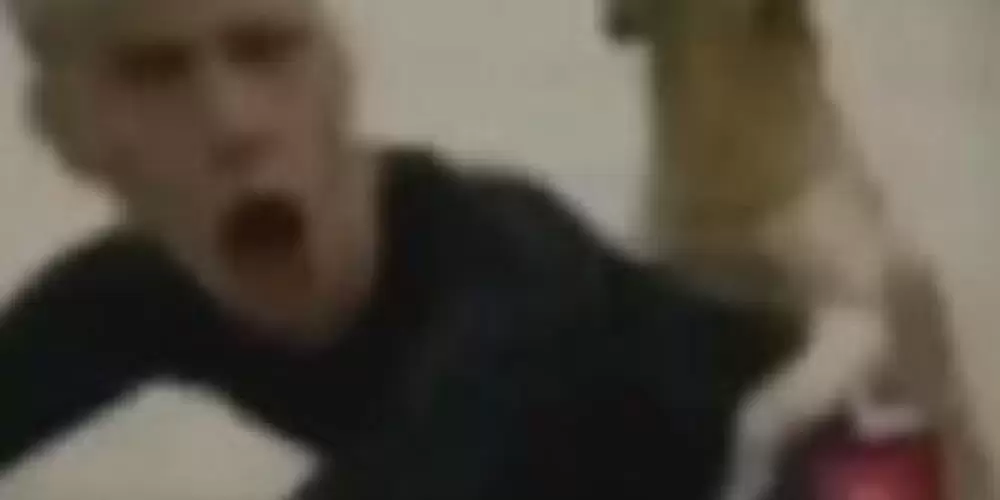 Imagem do grupo de WhatsApp Amizade Sem Fronteira🩵