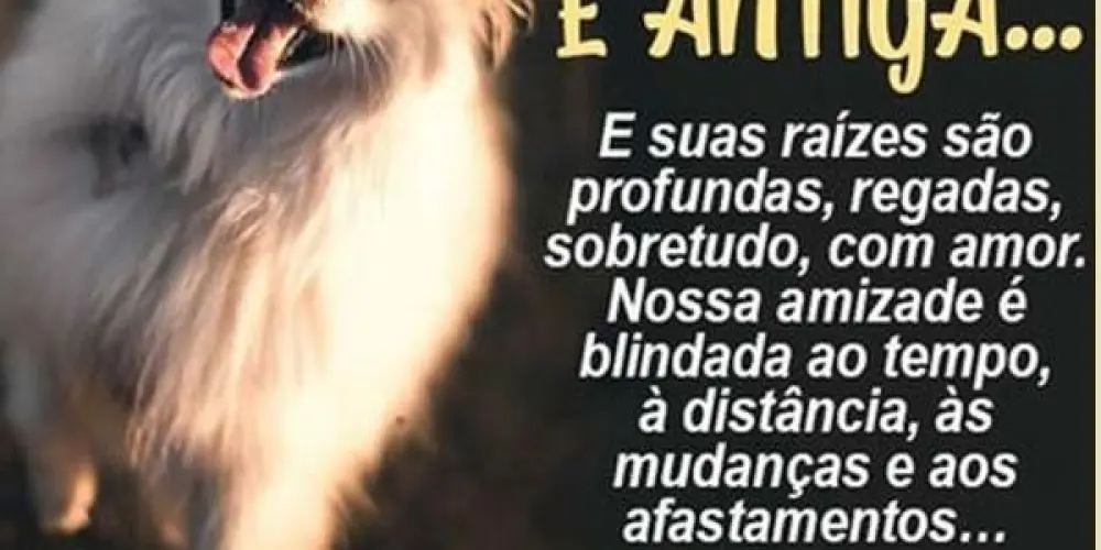 Imagem do grupo de WhatsApp Amizade sempre bom