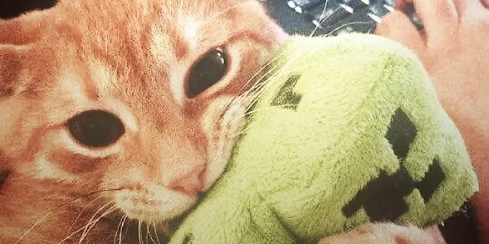 Imagem do grupo de WhatsApp 🌸_Amizade total_🌸