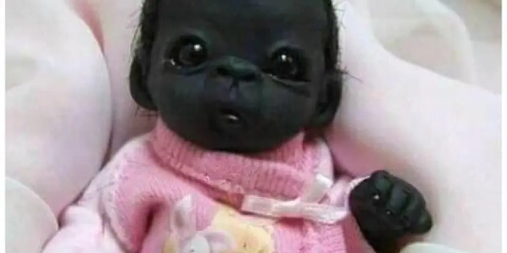 Imagem do grupo de WhatsApp AMIZADE  WEB👅✨