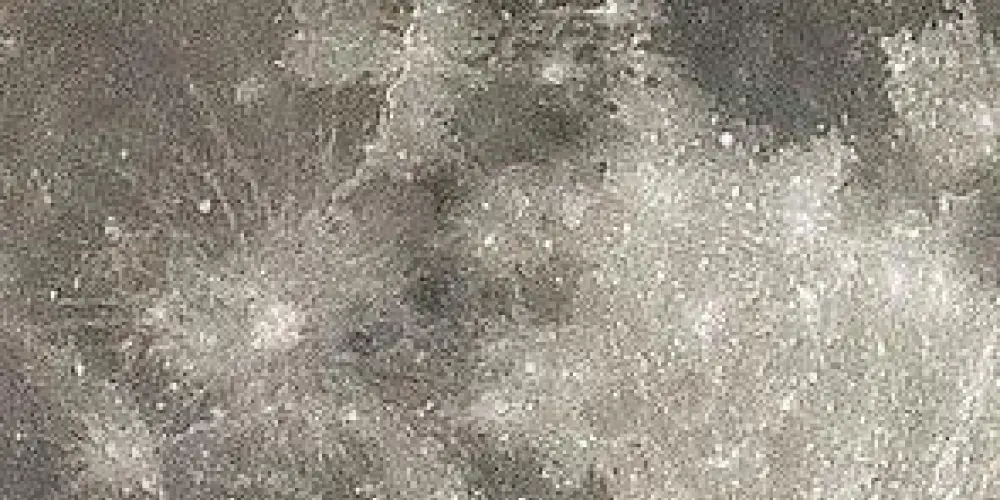 Imagem do grupo de WhatsApp amizadee