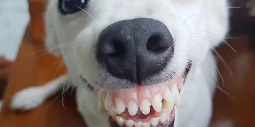 Imagem do grupo de WhatsApp Amizadeee🫶🏽🫶🏼