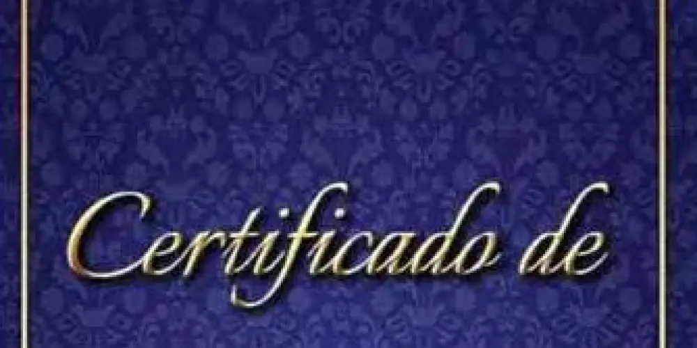 Imagem do grupo de WhatsApp Amizades 2024