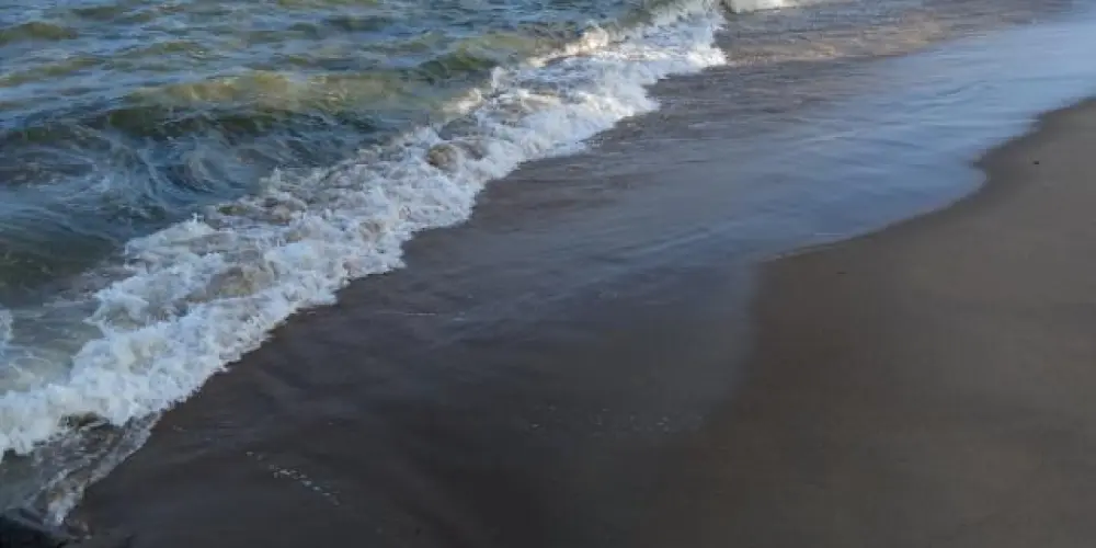 Imagem do grupo de WhatsApp Amizades 2025 Meninas 😜