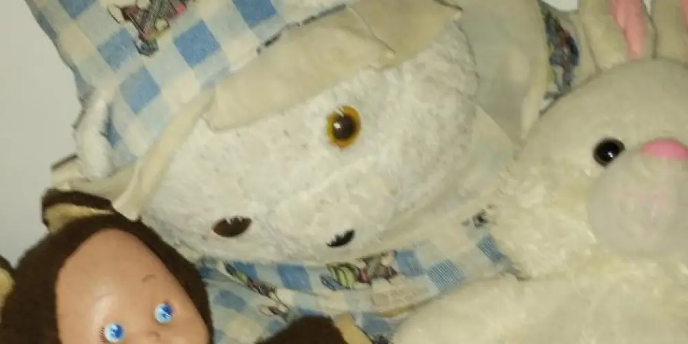 Imagem do grupo de WhatsApp amizades❤️🤝