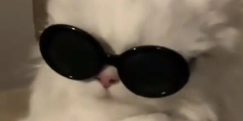 Imagem do grupo de WhatsApp amizades 🫵🏼🤍