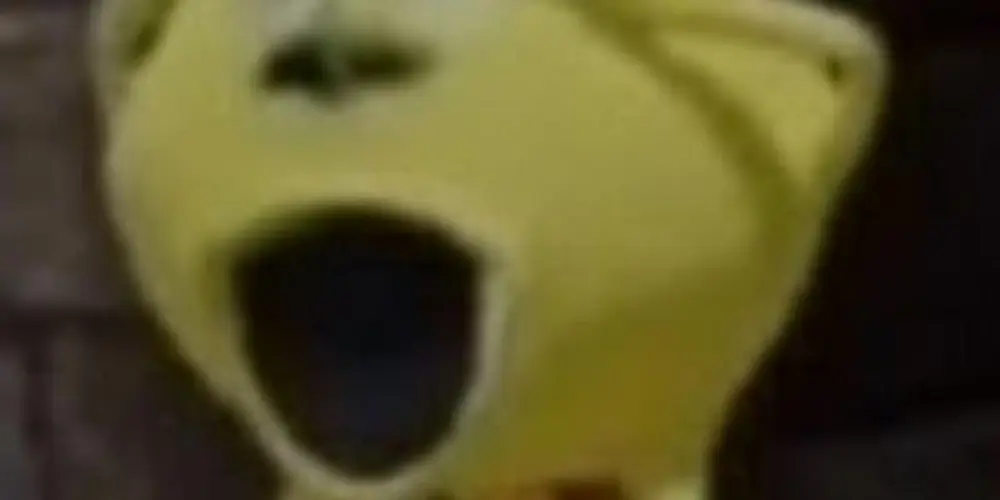 Imagem do grupo de WhatsApp AMIZADES