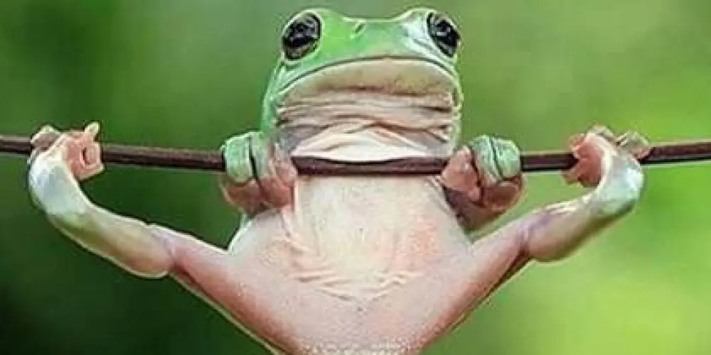 Imagem do grupo de WhatsApp Amizades