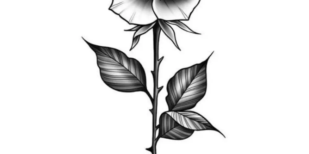 Imagem do grupo de WhatsApp Amizades