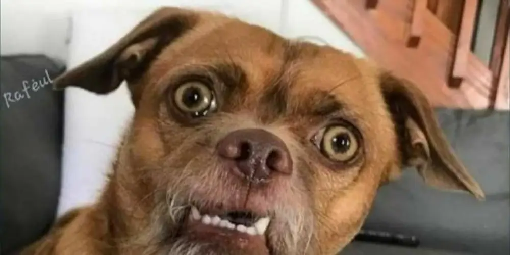 Imagem do grupo de WhatsApp amizades