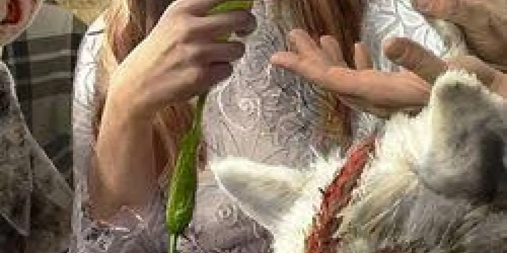 Imagem do grupo de WhatsApp amizades