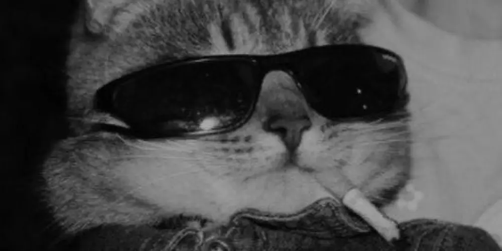 Imagem do grupo de WhatsApp Amizades😜