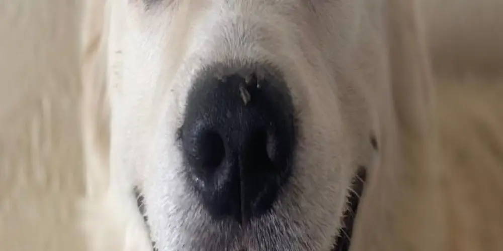 Imagem do grupo de WhatsApp AMIZADES