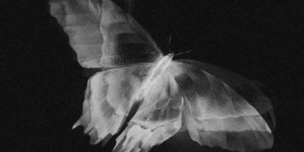 Imagem do grupo de WhatsApp amizades 😁✨️