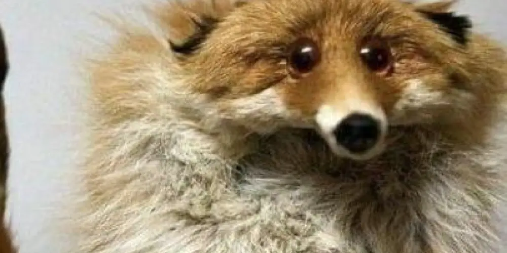 Imagem do grupo de WhatsApp _AMIZADES_ ❄️