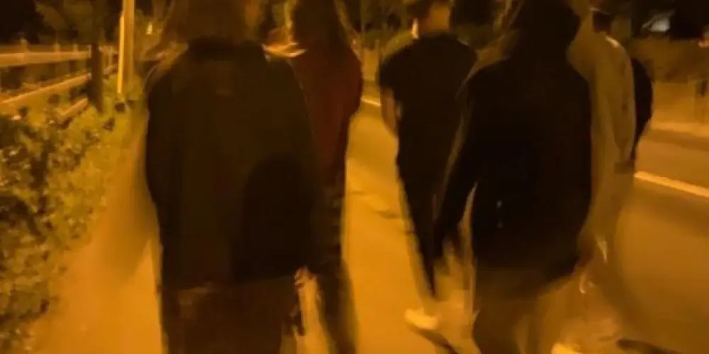 Imagem do grupo de WhatsApp Amizades ☘️