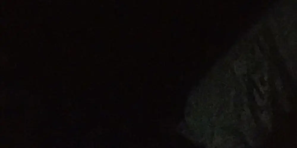 Imagem do grupo de WhatsApp A.M.I.Z.A.D.E.S.