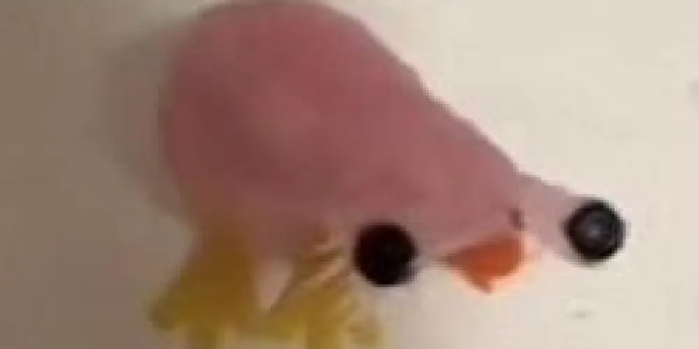 Imagem do grupo de WhatsApp Amizades