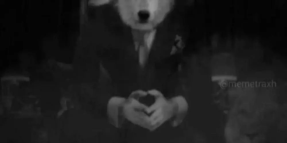 Imagem do grupo de WhatsApp AMIZADES🤍🫂