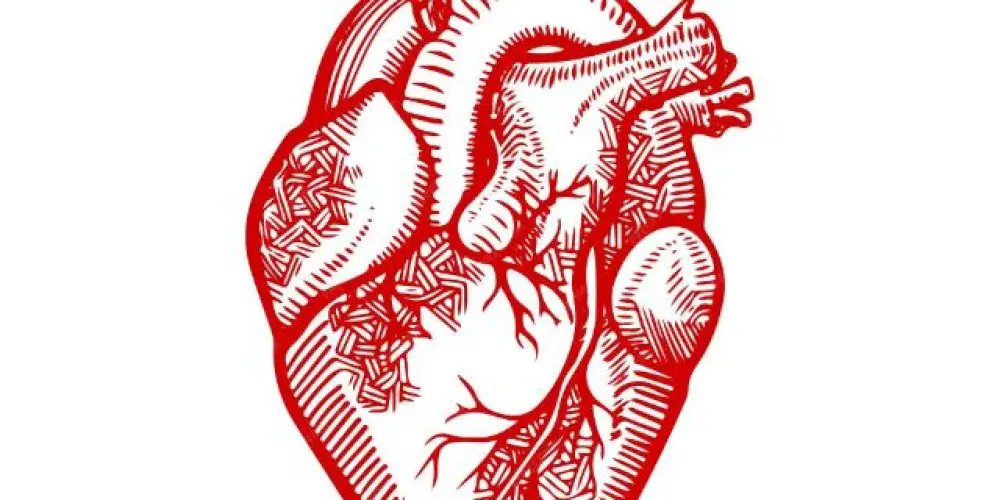 Imagem do grupo de WhatsApp Amizades