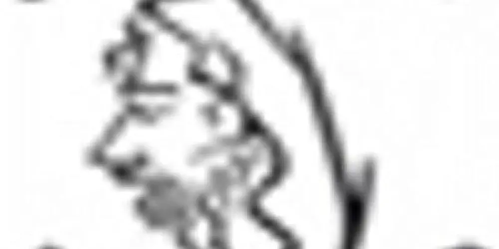 Imagem do grupo de WhatsApp Amizades 💘