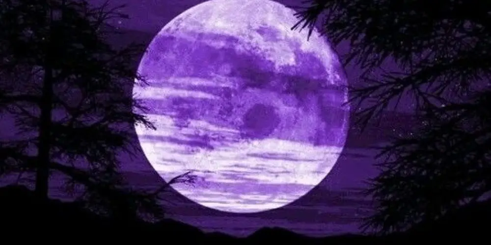 Imagem do grupo de WhatsApp Amizades