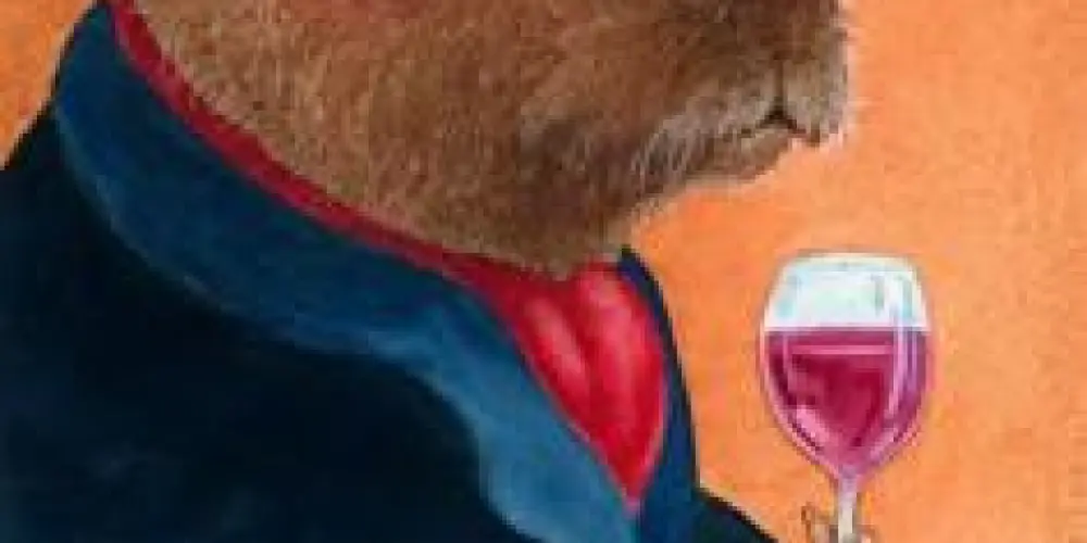 Imagem do grupo de WhatsApp Amizades