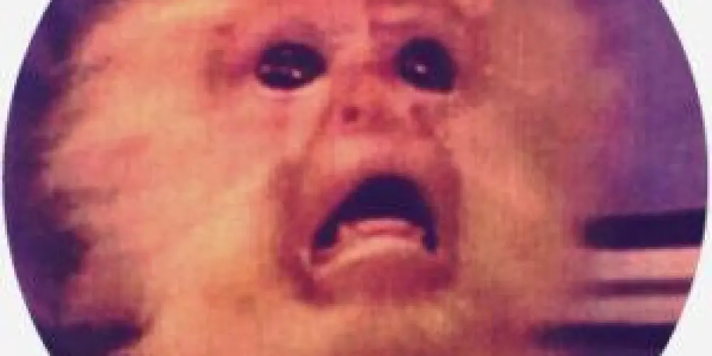 Imagem do grupo de WhatsApp AMIZADES 😇