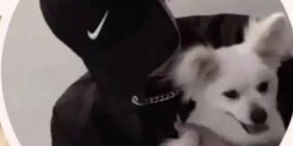 Imagem do grupo de WhatsApp Amizades 🧸🔐